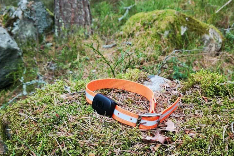 MiniFinder Atto - one of the market's best GPS trackers